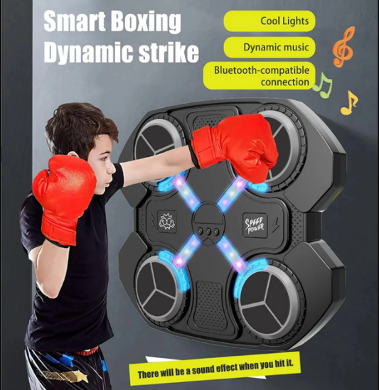 BOXING TARGET BLUETOOTH WITH MUSICAL SOUNDS